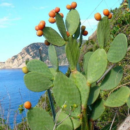 Casa Vacanze Zia Maria Διαμέρισμα Βερνάτσα Εξωτερικό φωτογραφία