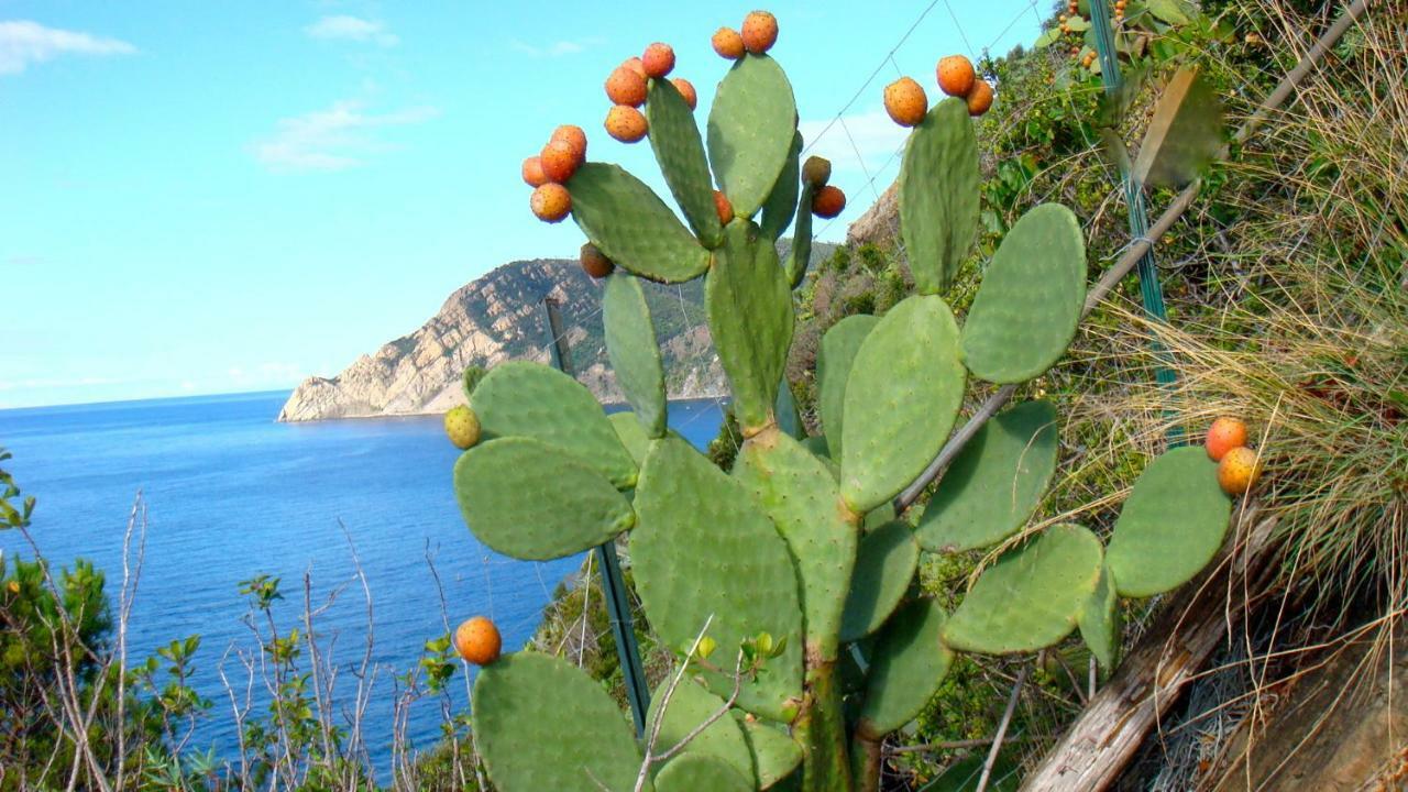 Casa Vacanze Zia Maria Διαμέρισμα Βερνάτσα Εξωτερικό φωτογραφία